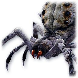 Ashen Spider | Aion 2 Wiki