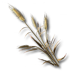 Reed Rye Reed Rye | Arknights: Endfield Wiki