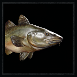 Fishing | Assassin's Creed Valhalla Wiki