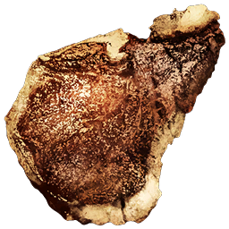 Cooked Animal Meat | Atlas Wiki