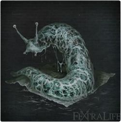 bloodborne.wiki.fextralife.com
