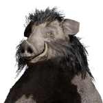 Boar Cloak | Crimson Desert Wiki