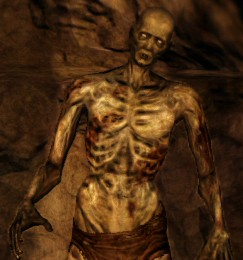 Ds2 Undead Captive Undead | Dark Souls 2 Wiki