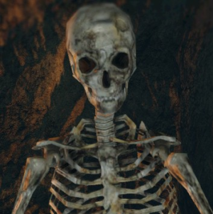 Skeleton | Dark Souls 2 Wiki