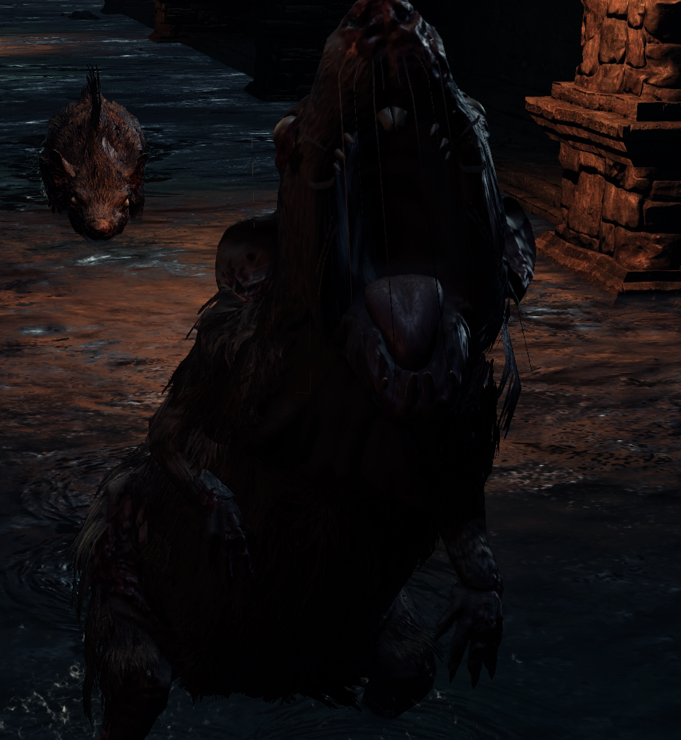 Rat | Dark Souls 3