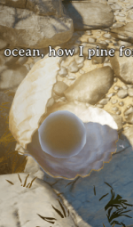 A Shell on the Beach | Divinity Original Sin
