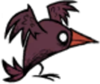 Misshapen Bird | Dont Starve Together Wiki