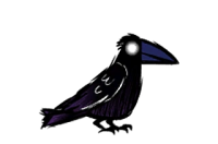 Crow | Dont Starve Together Wiki