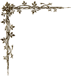 Diametric Armor | Dragons Dogma 2 Wiki