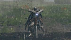 eldenring.wiki.fextralife.com