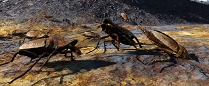 Radroach Queen Radroach | Fallout 76 Wiki