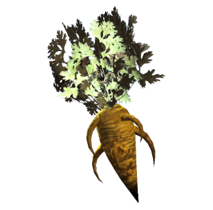 Carrots | Fallout 76 Wiki