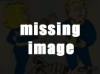 Luck | Fallout 76 Wiki