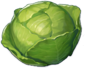 Cabbage | Genshin Impact Wiki