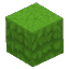Full Grass | Hytale Wiki