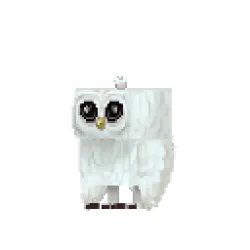 Snowy Owl | Hytale Wiki