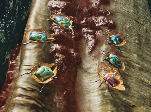 Regal Jewel Scarab | Monster Hunter Wilds Wiki