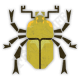 Endemic Life | Monster Hunter Wilds Wiki