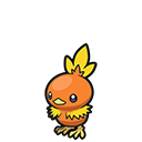Torchic Cry Torchic | Pokopia Wiki