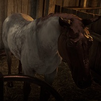 Cremello Rdr2 Horses | Red Dead Redemption 2 Wiki