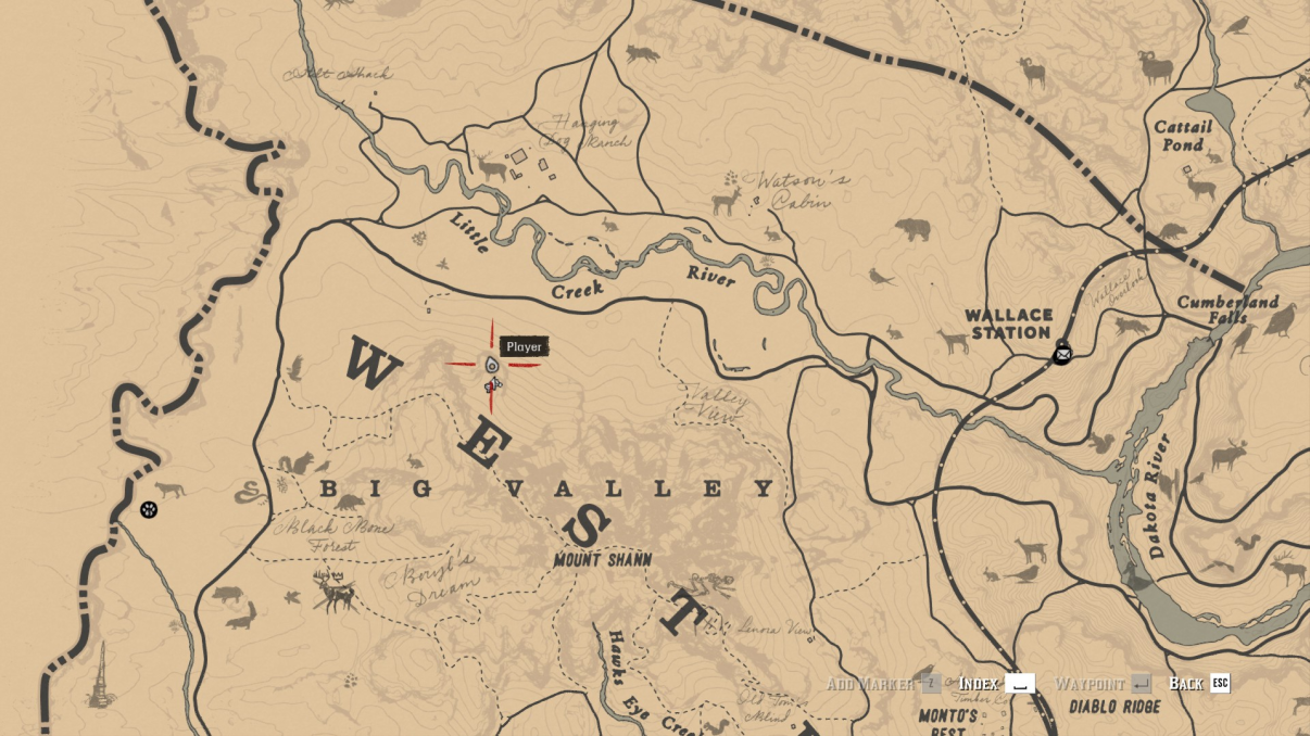 Special Miracle Tonic Pamphlet | Red Dead Redemption 2 Wiki