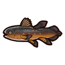 Inca Fish Runes Ancient Fish | Rune Factory: Guardians of Azuma Wiki