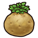 Potato Runes Princely Potato | Rune Factory: Guardians of Azuma Wiki
