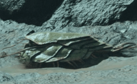 Fauna | Starfield Wiki - Starfield Wiki