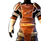 Bonestalker Leathers | The Waylanders Wiki