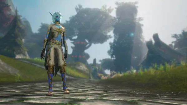 Skyborne character customization in World of Warcraft: Forever