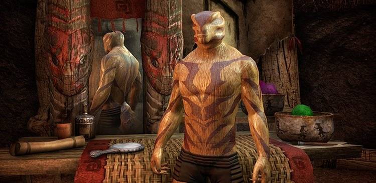 Elder Scrolls Online Appearance and Race Change in Detail