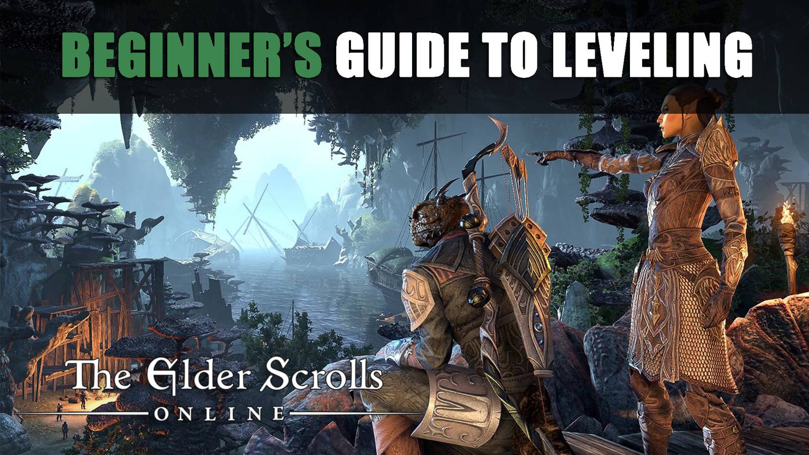 Elder Scrolls Online - Beginner's Guide to Leveling