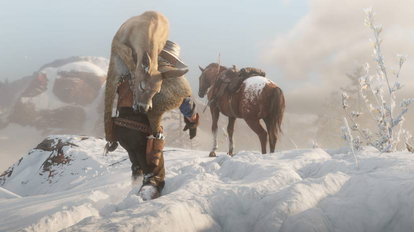 Red Dead Redemption 2: Perfect Hunting Guide