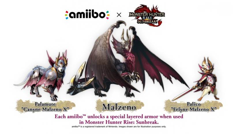 monstera adansonii aurea Monstera adansonii aurea variegata (high color) – Fiore's main image 0