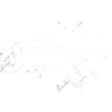 New World Musket Build 2024 - PvE & PvP