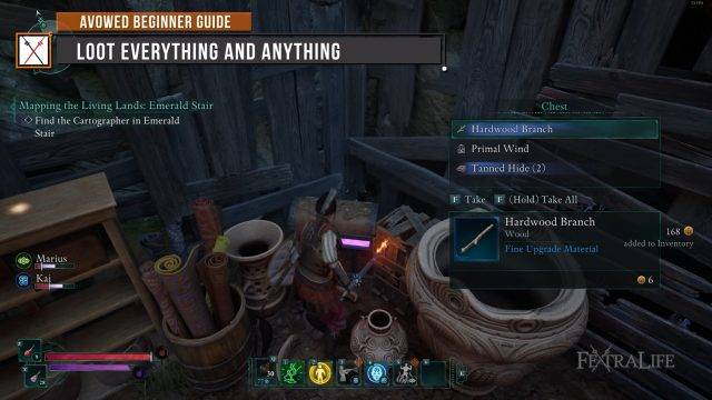Avowed Beginner Guide - BEST TIPS for NEW PLAYERS
