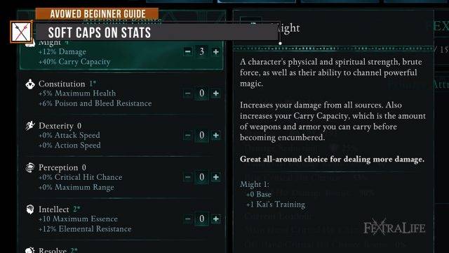 Avowed Beginning Avowed Beginner Guide - BEST TIPS for NEW PLAYERS