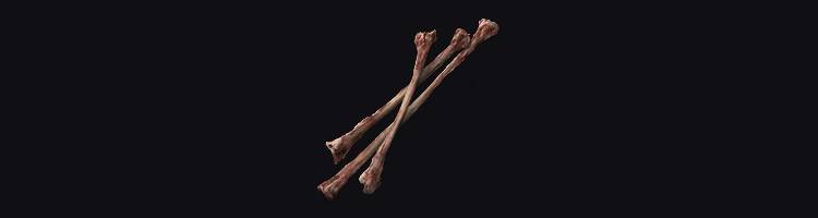 Elden Ring Horn Bow Build Guide - Magic Archer