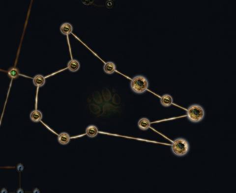 Path of Exile 2 The Beastmaster Build