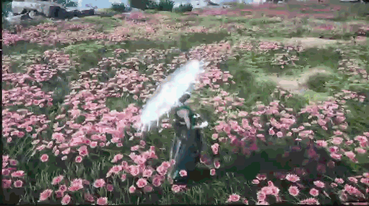 where-winds-meet- Colorful-Phoenix-anim