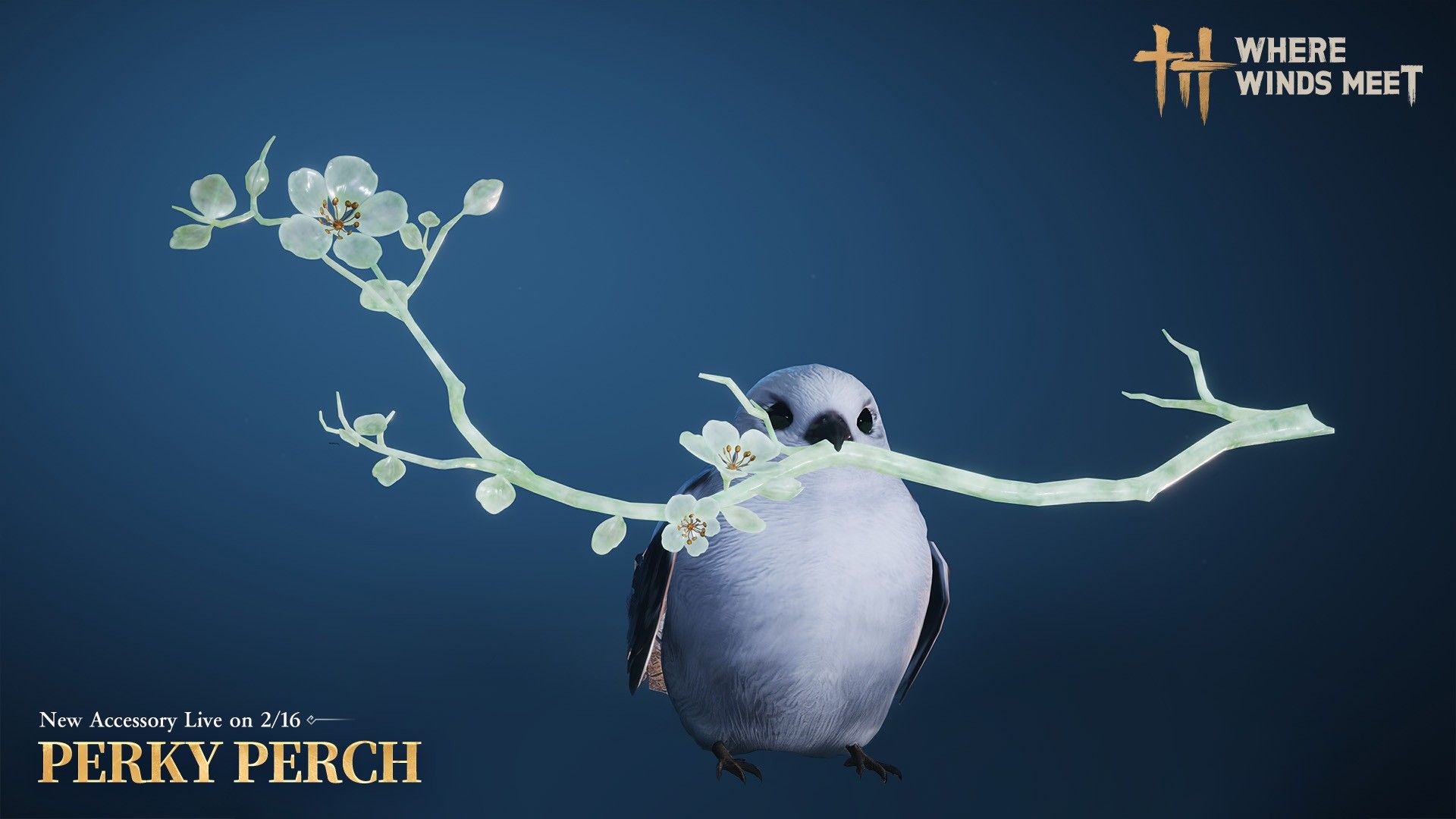 Perky Perch accessory