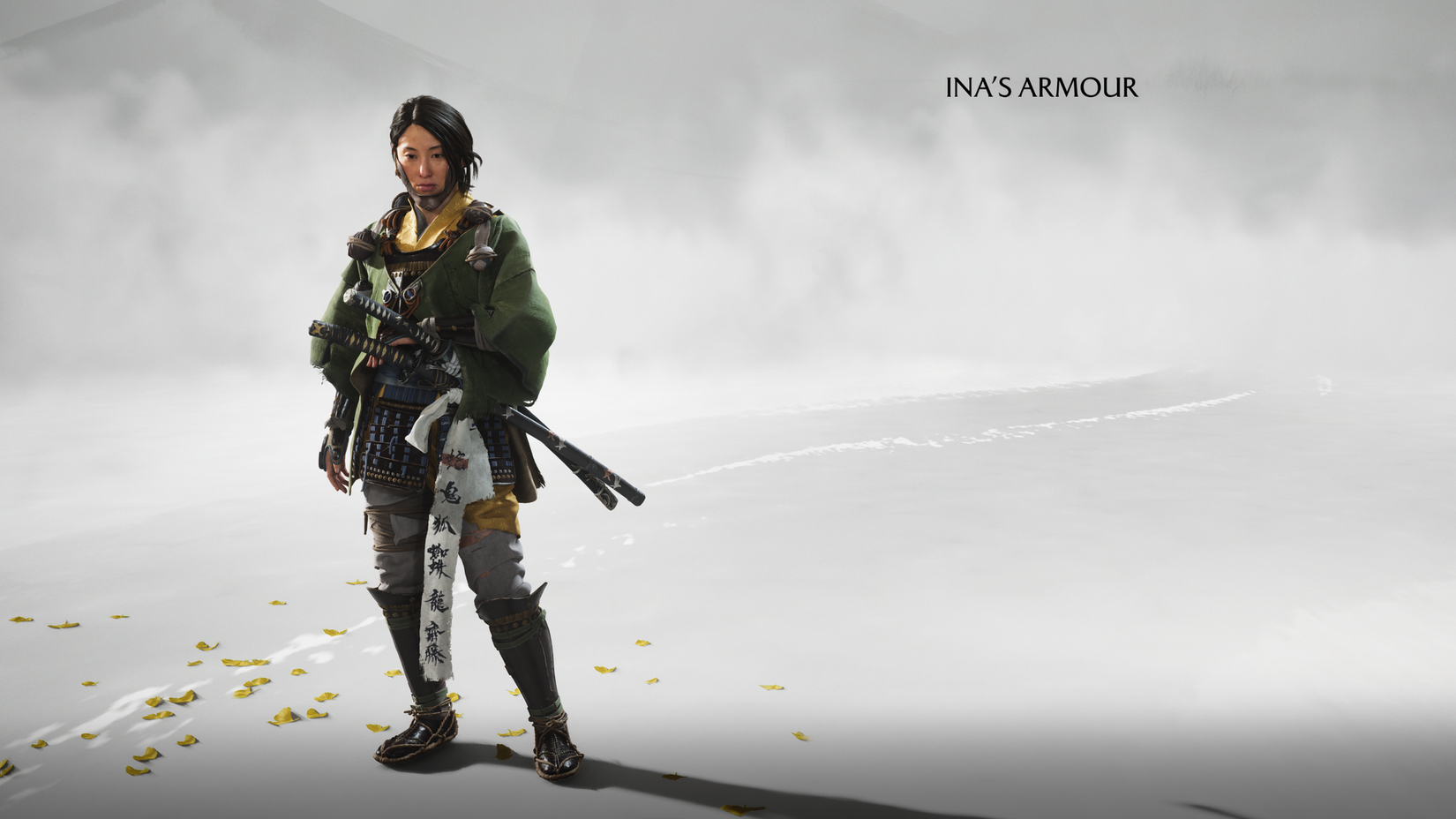 inas-armor