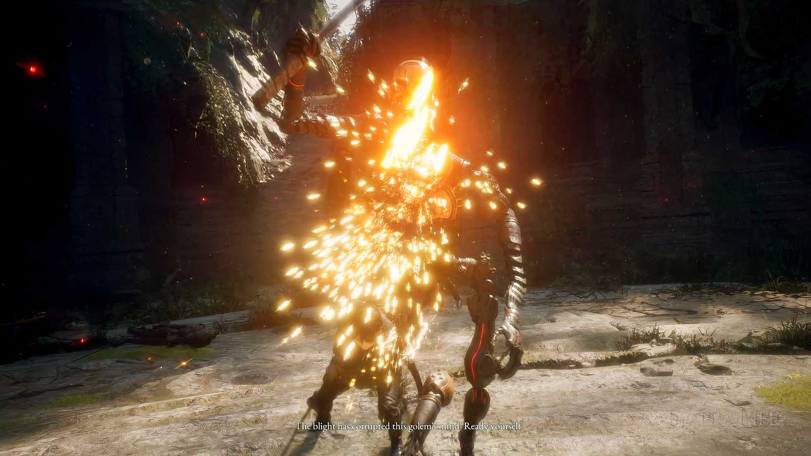 Beast of Reincarnation Combat Section